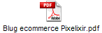 Blug ecommerce Pixelixir.pdf